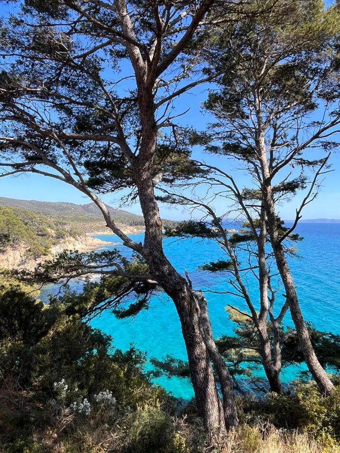 L'Arbousier Bed & Breakfast Le Le Rayol-Canadel-sur-Mer Luaran gambar