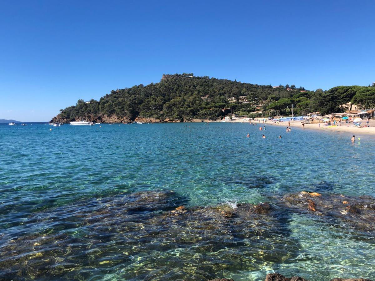 L'Arbousier Bed & Breakfast Le Le Rayol-Canadel-sur-Mer Luaran gambar